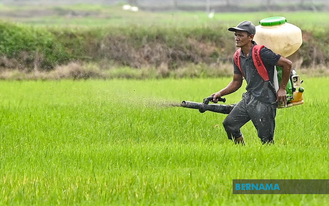 Kelantan Invests RM3.64 Million in Agriculture Drive Covering 10 Development Projects