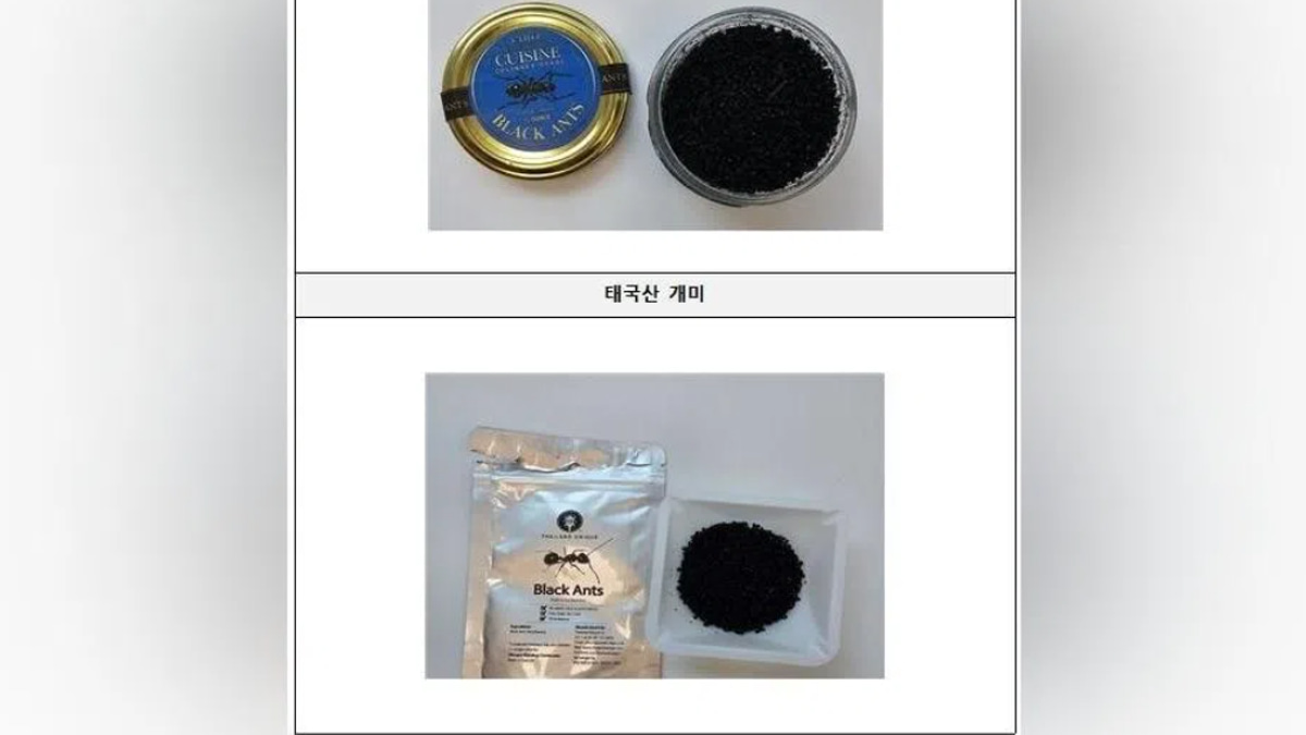 South Korean Michelin-Starred Chef Faces Jail Time Over Unapproved Insect Garnish