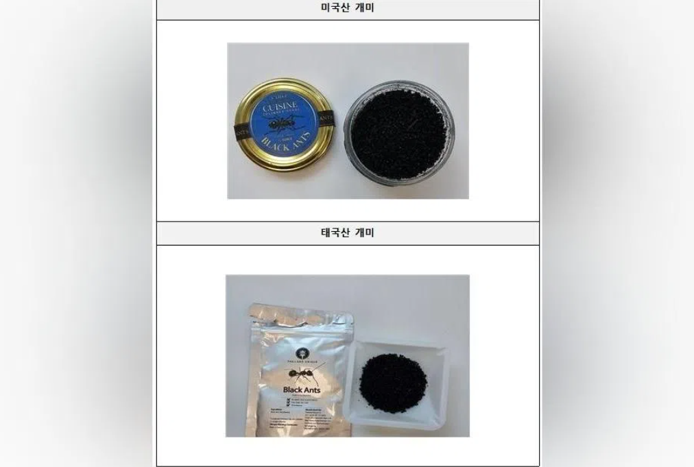 South Korean Michelin-Starred Chef Faces Jail Time Over Unapproved Insect Garnish