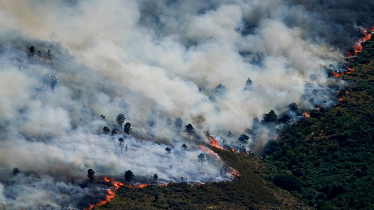 Spain Declares National Emergency as Wildfires Force 60,000 to Evacuate Near Madrid