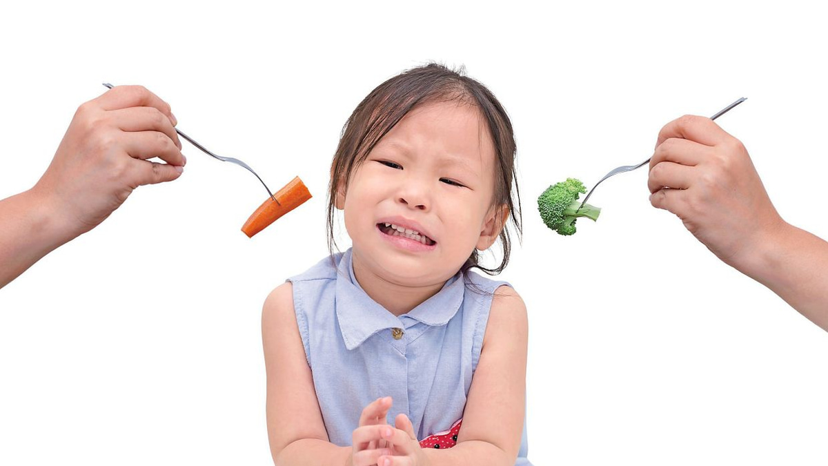 When Your Child Won't Eat: A Paediatrician's Guide to Picky Eating and Normal Development