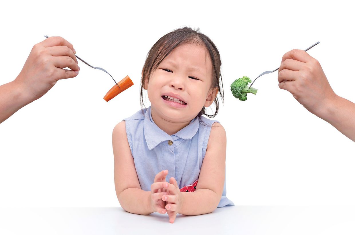 When Your Child Won't Eat: A Paediatrician's Guide to Picky Eating and Normal Development