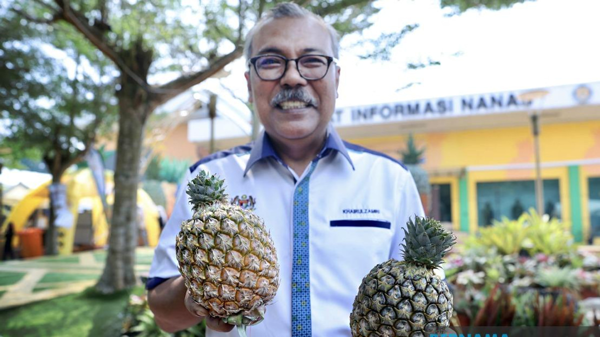 Sarawak's New Gold Pineapple Variety Makes Strong Debut at MAHA 2026