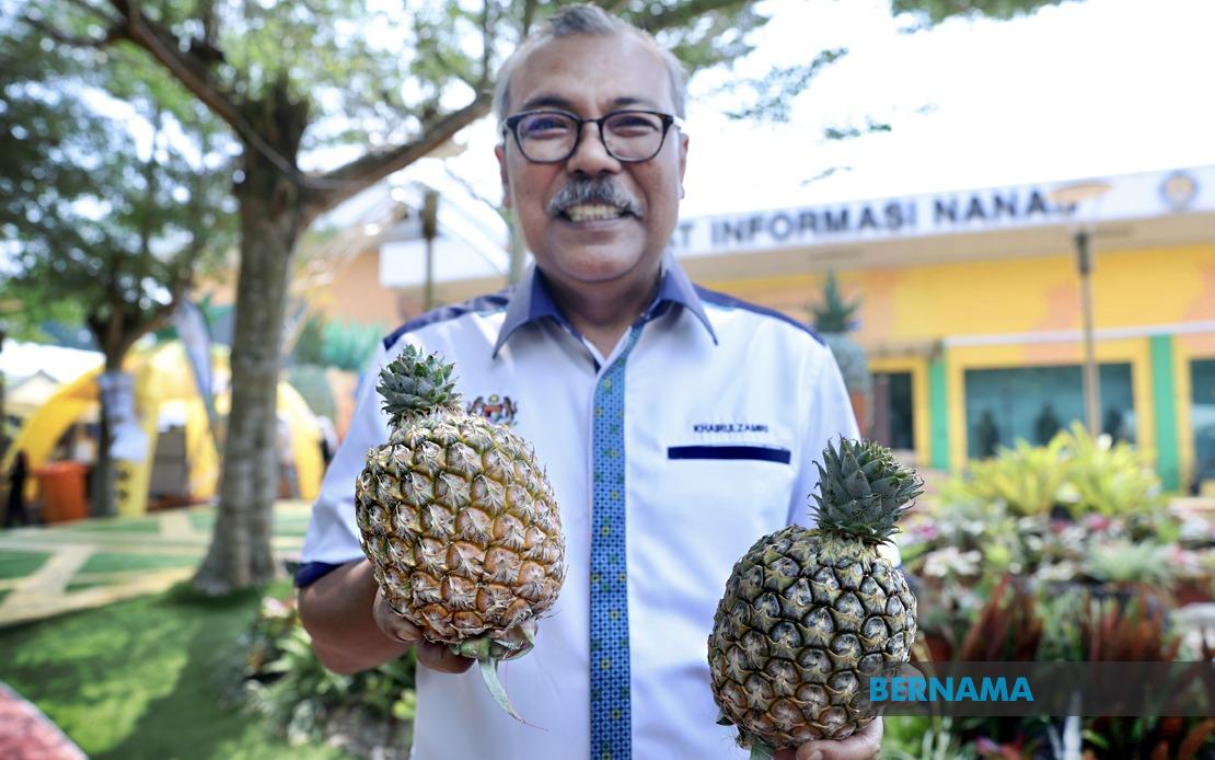 Sarawak's New Gold Pineapple Variety Makes Strong Debut at MAHA 2026