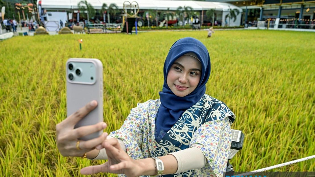 Malaysia Sets Record for Giant Paddy Art at MAHA 2026