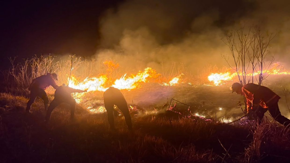Mount Bromo wildfire engulfs 520 hectares as Indonesia battles escalating crisis
