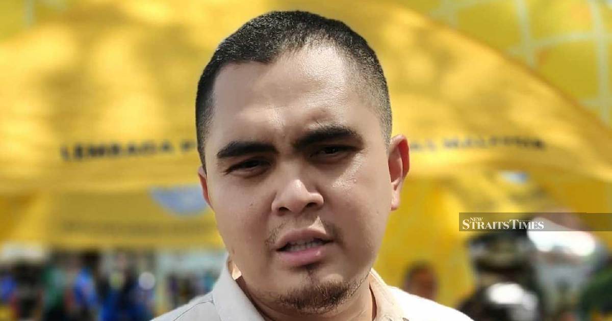 Johor Election Offers Chance to Heal Umno-Pas Divide Through Coordinated Voting Strategy, Says Youth Leader