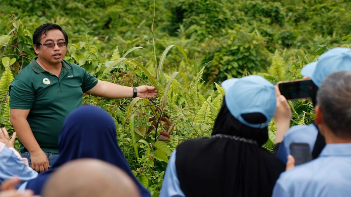Malaysian Palm Oil Foundation's Decade-Long Restoration Revives Fire-Scarred Sabah Forest
