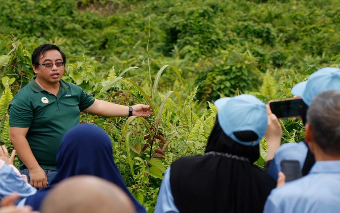 Malaysian Palm Oil Foundation's Decade-Long Restoration Revives Fire-Scarred Sabah Forest