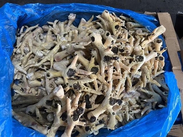 Two Vietnamese Executives Charged in US$13 Million Frozen Chicken Feet Smuggling Scheme