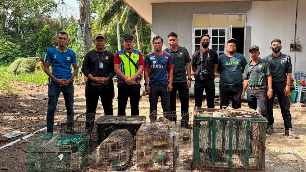 Teen Detained with Nearly RM50,000 in Illegal Protected Wildlife