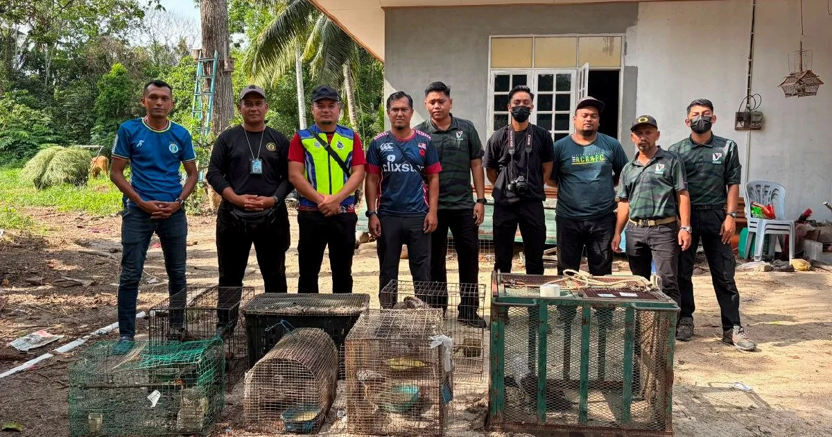 Teen Detained with Nearly RM50,000 in Illegal Protected Wildlife