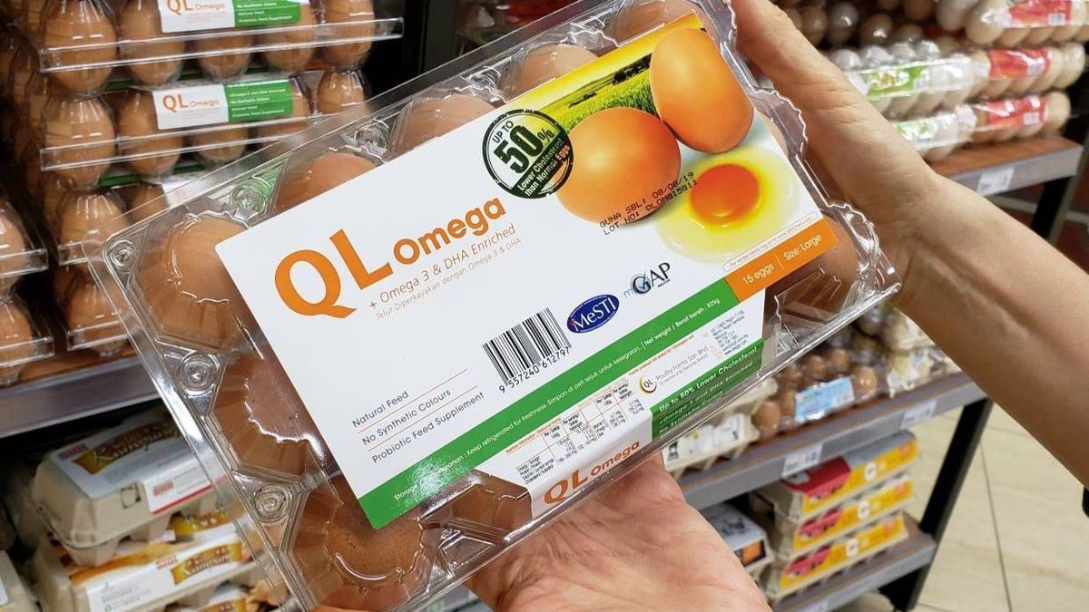 QL Resources Maintains Core Strength Despite Valuation Downgrade