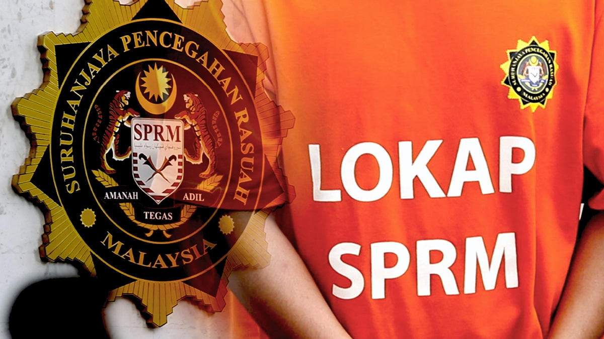 Dozen arrested in immigration system hacking scandal involving MACC probe