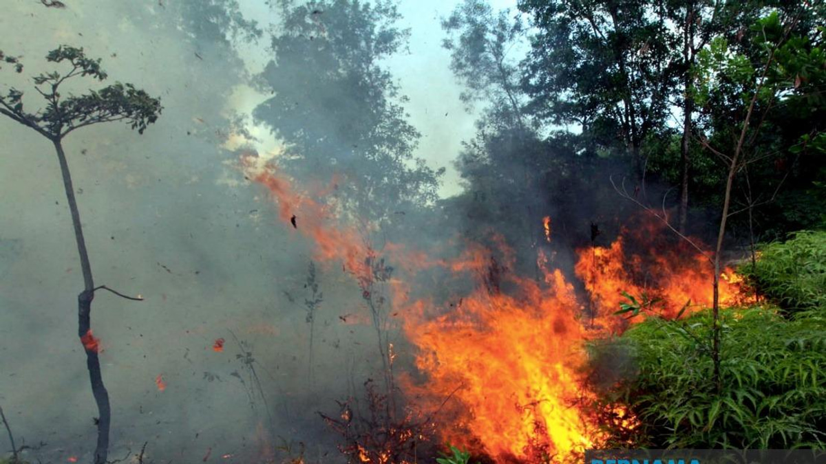 Sabah Authorities Issue Open Burning Ban Amid Indonesian Haze Crisis