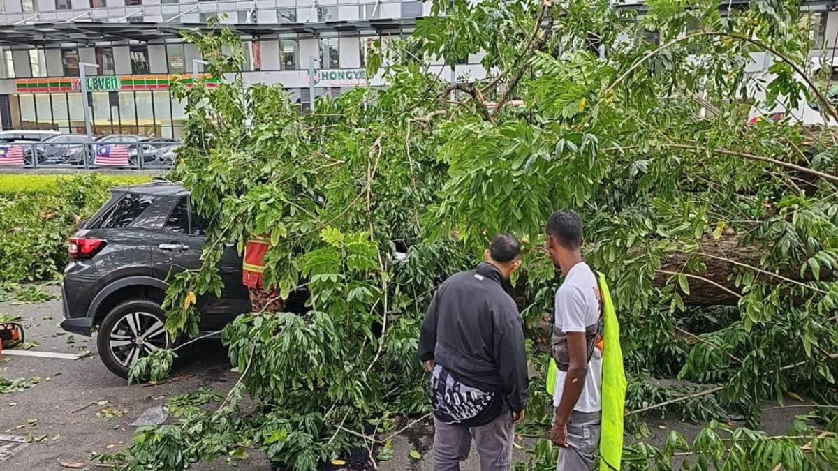 Quick Thinking Saves Family After Tree Topples Onto Car in Penang