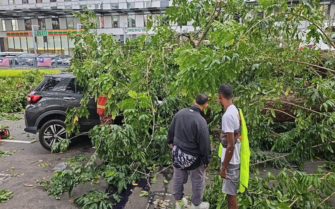 Quick Thinking Saves Family After Tree Topples Onto Car in Penang