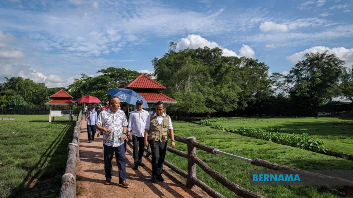 Sabah UMNO Deploys Ground Support for Barisan Nasional in Johor Election