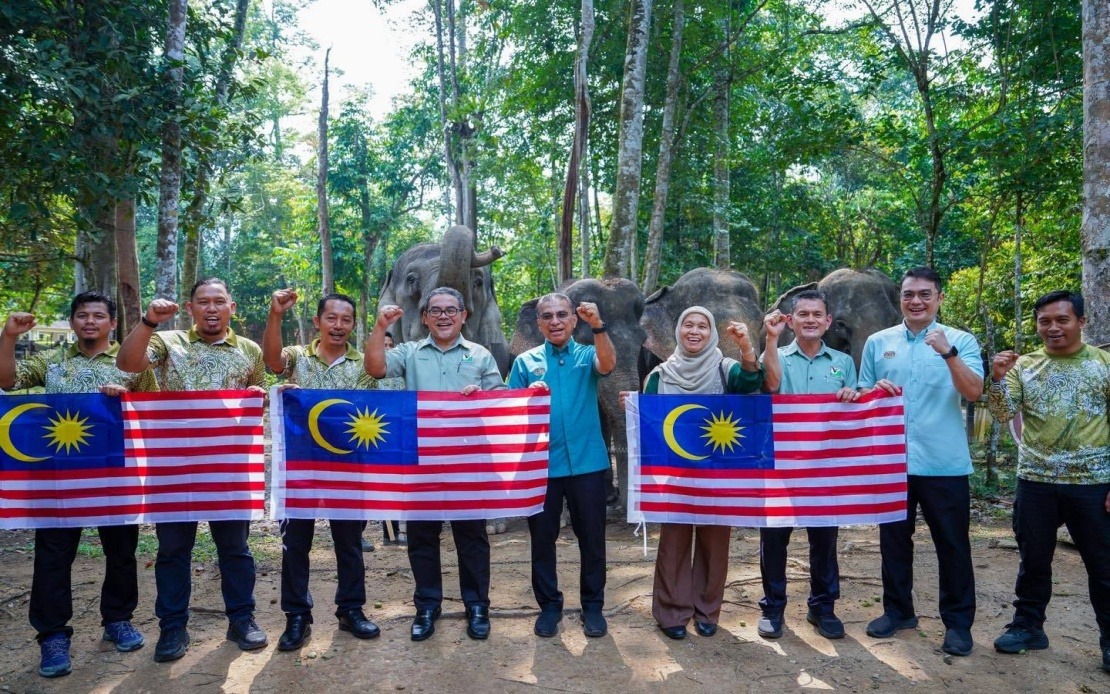 Malaysia's Wildlife Authority to Develop Fresh Strategies Against Rising Human-Animal Clashes