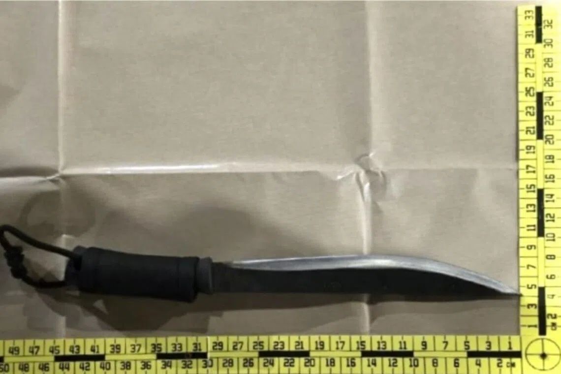 Four arrested in Singapore for armed abduction linked to car rental dispute
