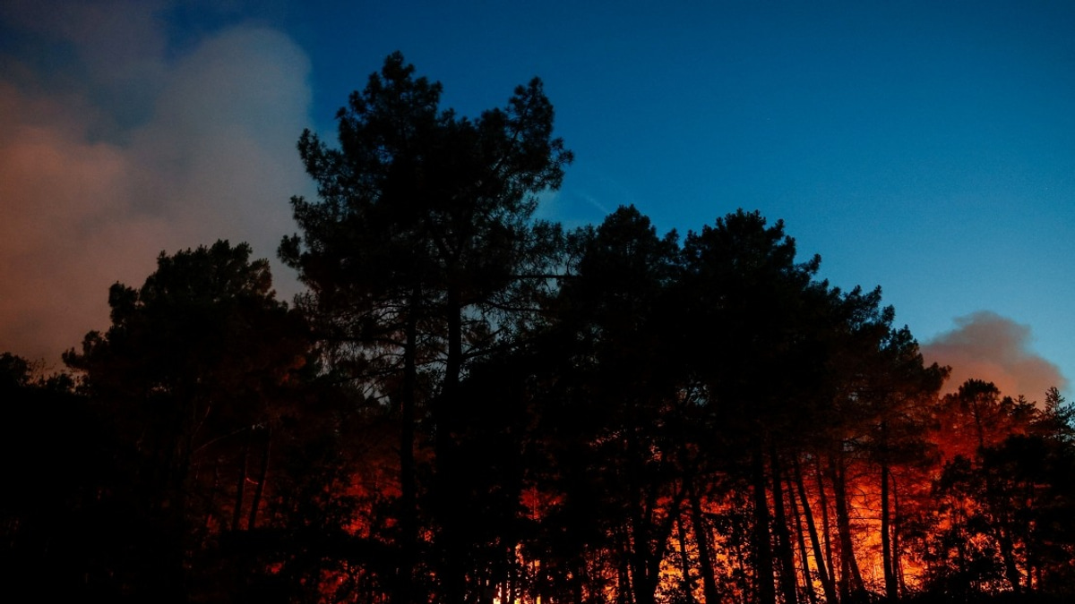 Massive Wildfire Devastates Historic Fontainebleau Forest Near Paris as Arson Suspected