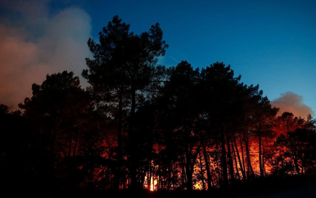 Massive Wildfire Devastates Historic Fontainebleau Forest Near Paris as Arson Suspected