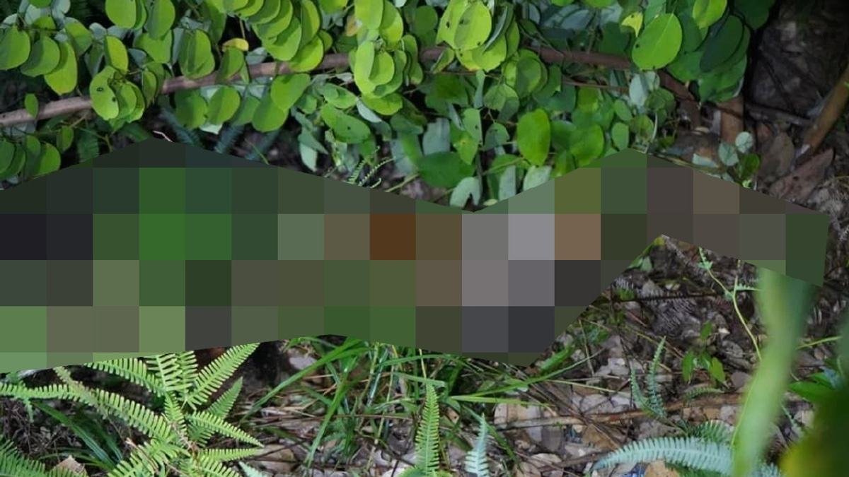 Missing Sabah girl, 10, found dead; two men arrested on murder charges