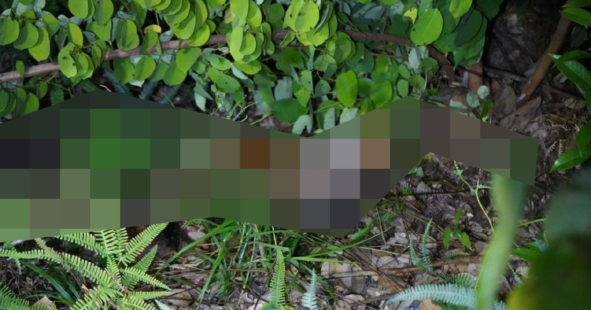 Missing Sabah girl, 10, found dead; two men arrested on murder charges