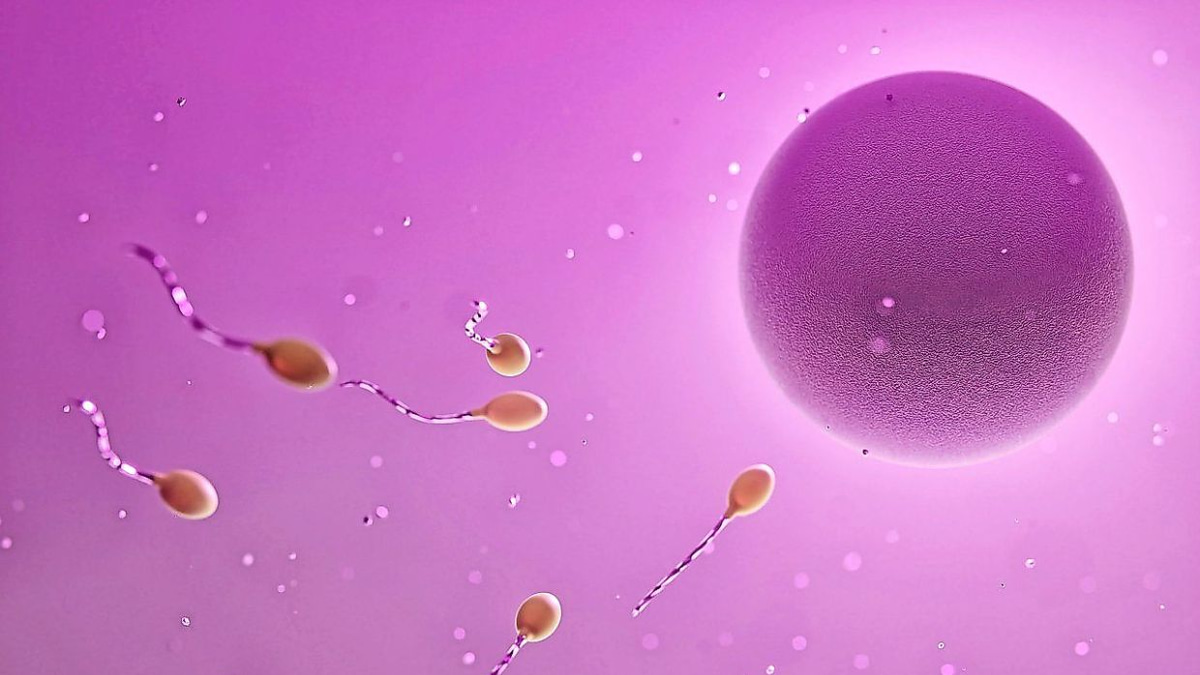 Understanding Infertility and Ovulation-Stimulating Medications