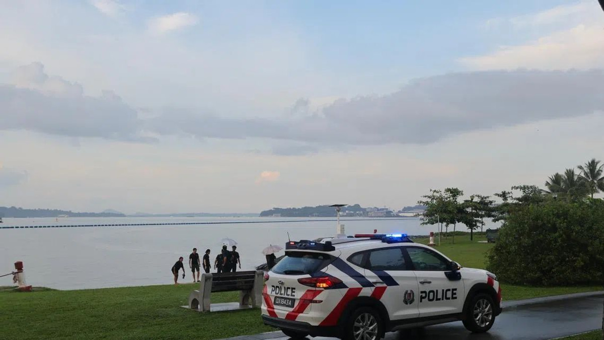Man struck by lightning at Singapore's Pasir Ris Beach; seven hospitalised