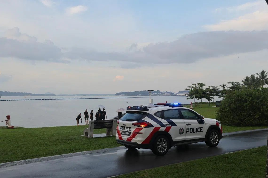 Man struck by lightning at Singapore's Pasir Ris Beach; seven hospitalised