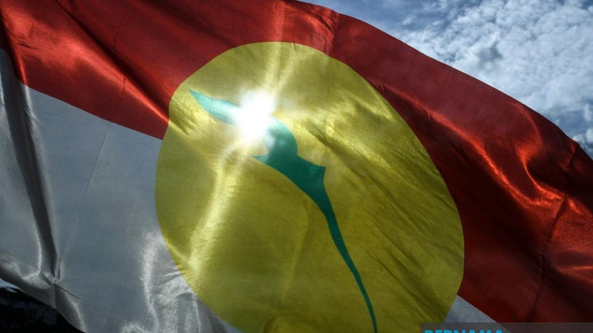UMNO Members Must Put Party Above Personal Interest in Johor Election, Azalina Says