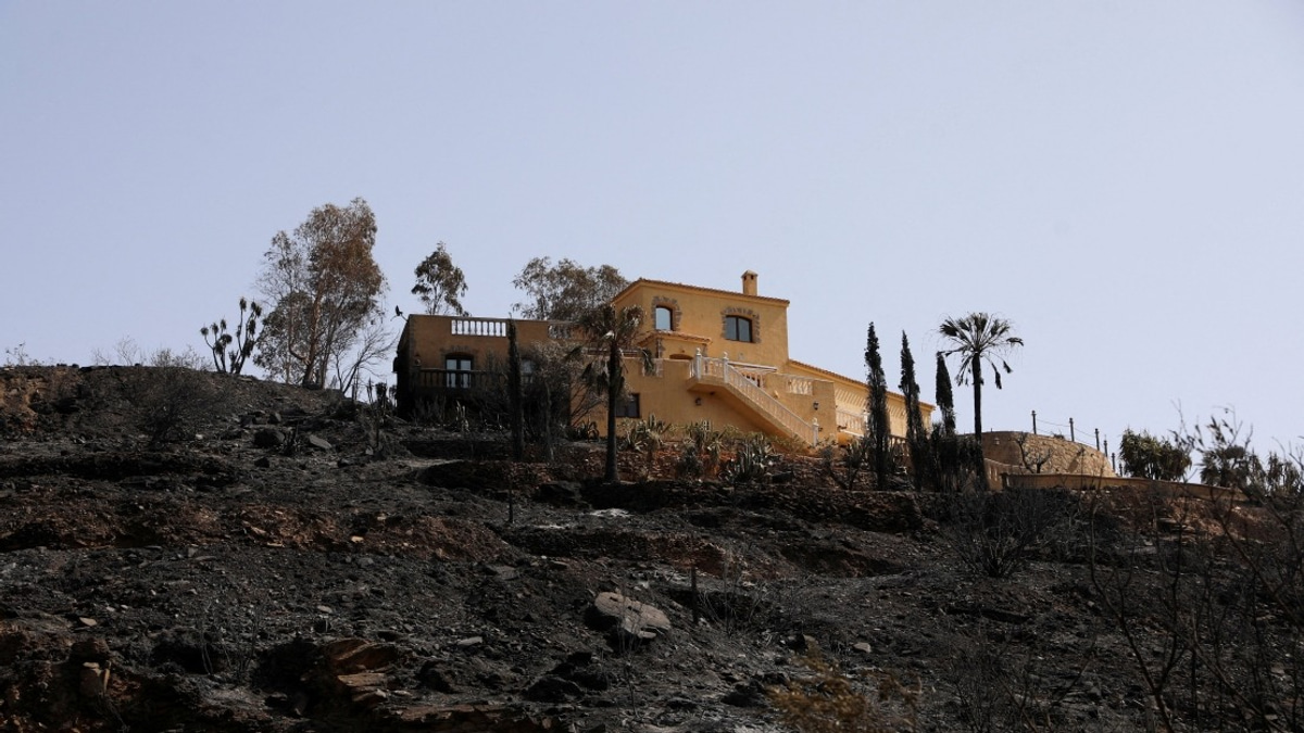 Spain's Almeria Wildfire Death Toll Reaches 13 as Blaze Contained