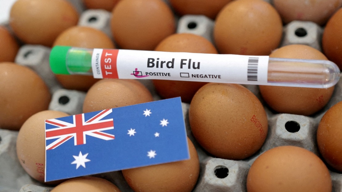 Australia Confirms First H5N1 Bird Flu Case in Local Wildlife