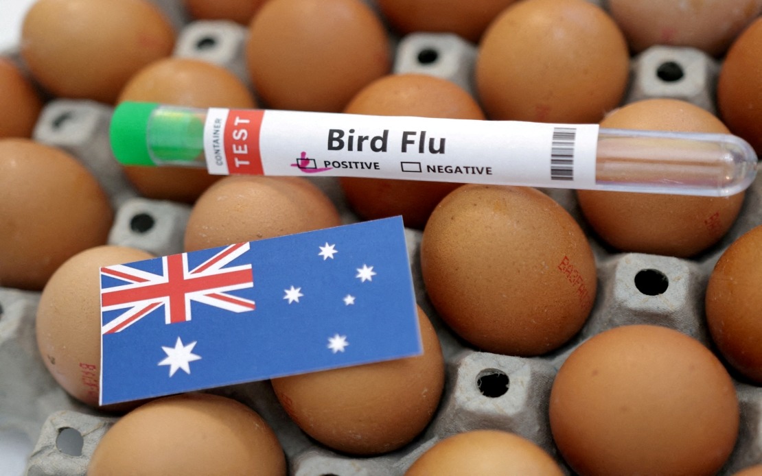 Australia Confirms First H5N1 Bird Flu Case in Local Wildlife