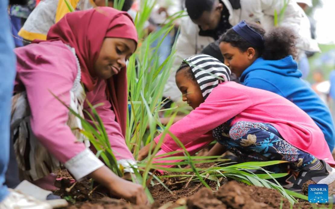 Ethiopia Plants 800 Million Trees in Record One-Day Drive