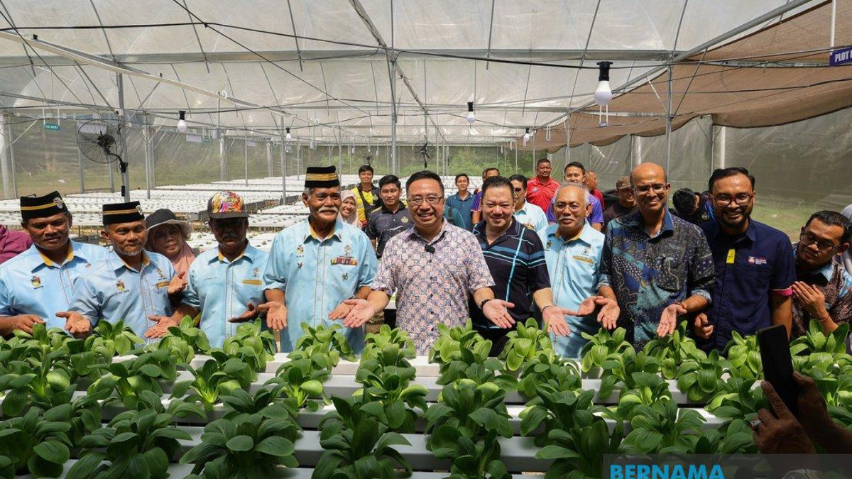 Over 6,700 Community Members Gain Skills and Food Security Through MyIS Aquaponics Initiative