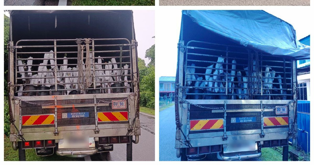 Authorities Seize RM85,000 in Contraband Plant Saplings at Thailand-Malaysia Border