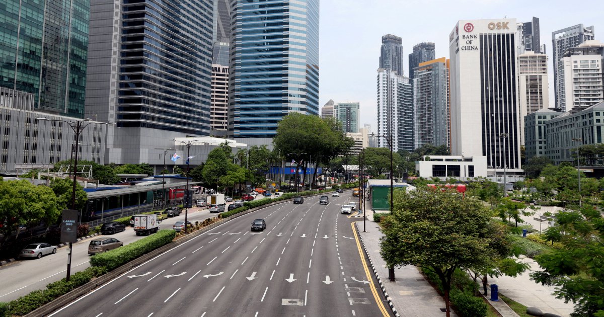 DBKL launches urgent tree safety survey after fatal fall in Kuala Lumpur