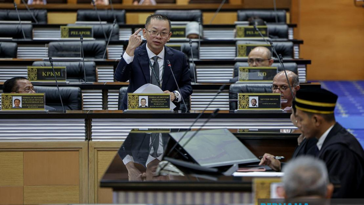 Act 522 Enforcement Will Spare Paddy Farmers, Focus on Supply Chain Players