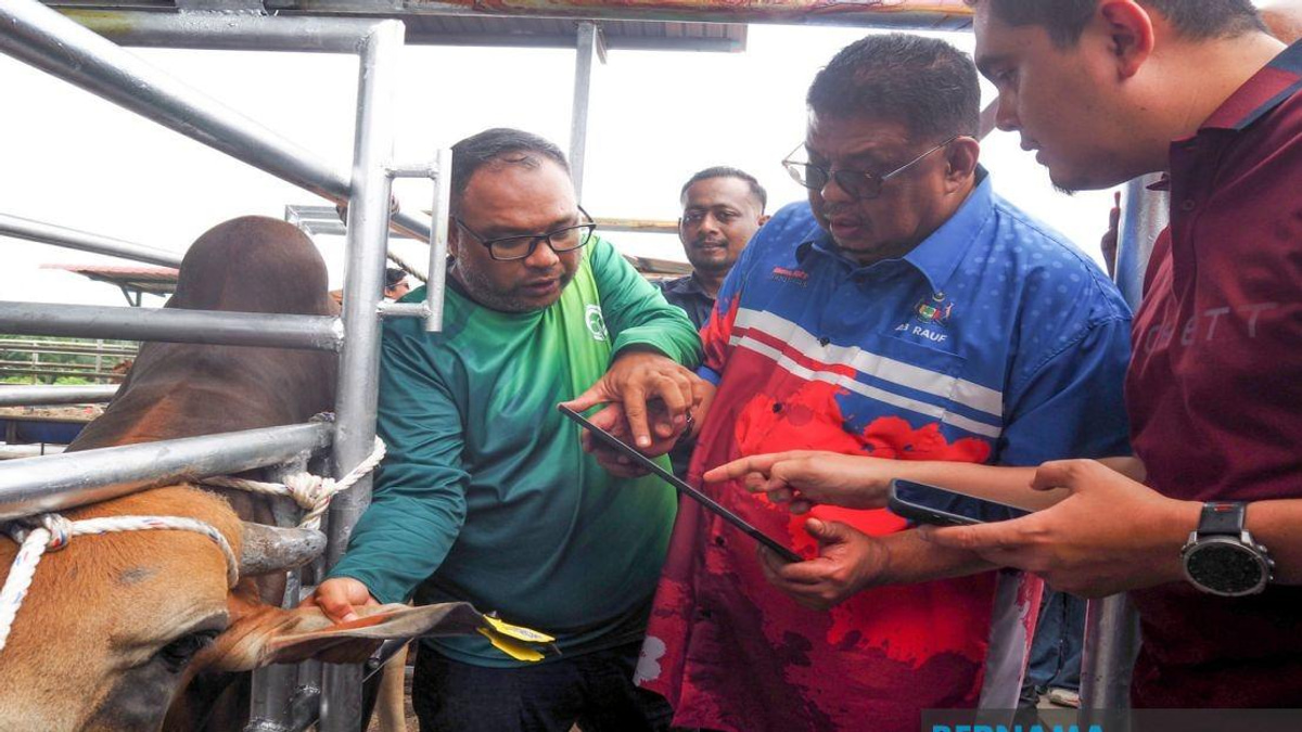 Melaka Deploys QR Code Tags to Track Livestock and Curb Stray Animal Crisis